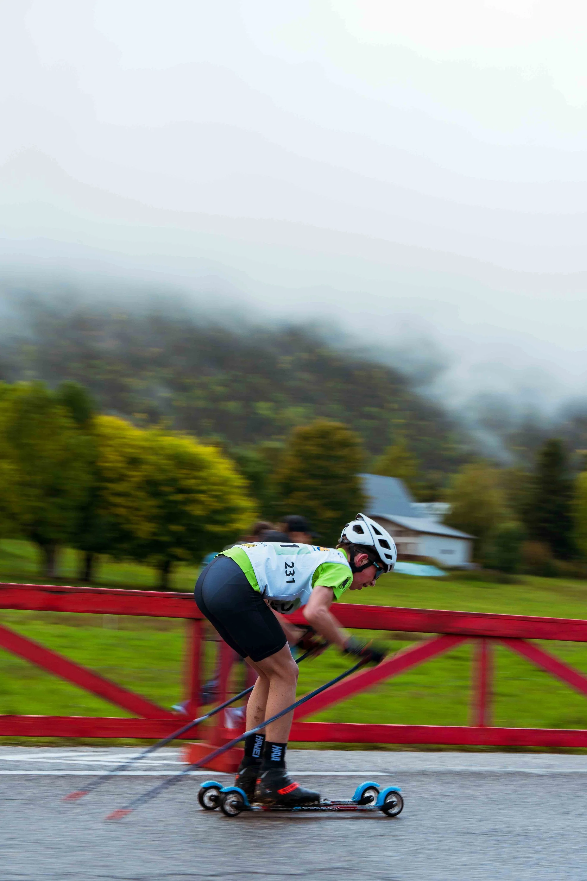 ski roue-4.jpg