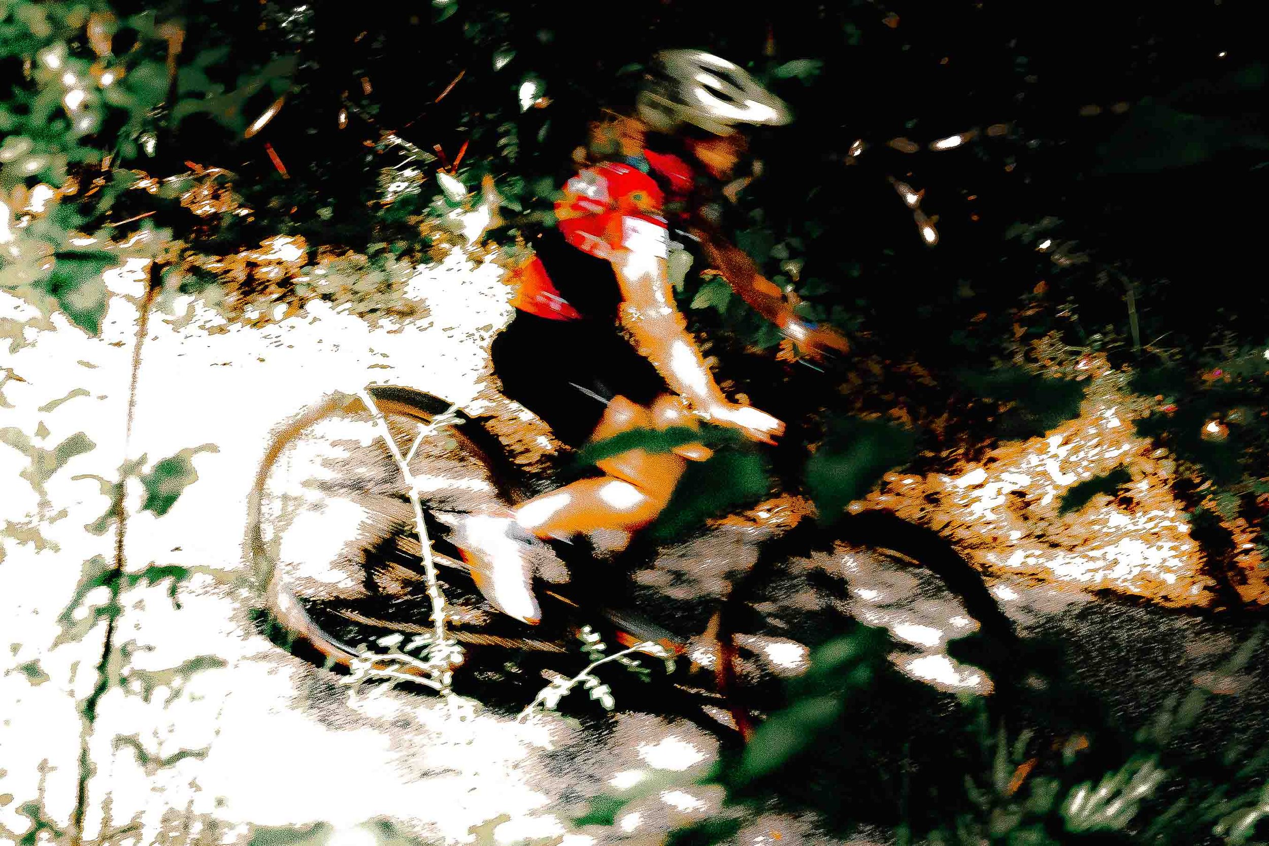 Un cycliste portant un casque coloré rougit dans un environnement sombre entouré de végétation.