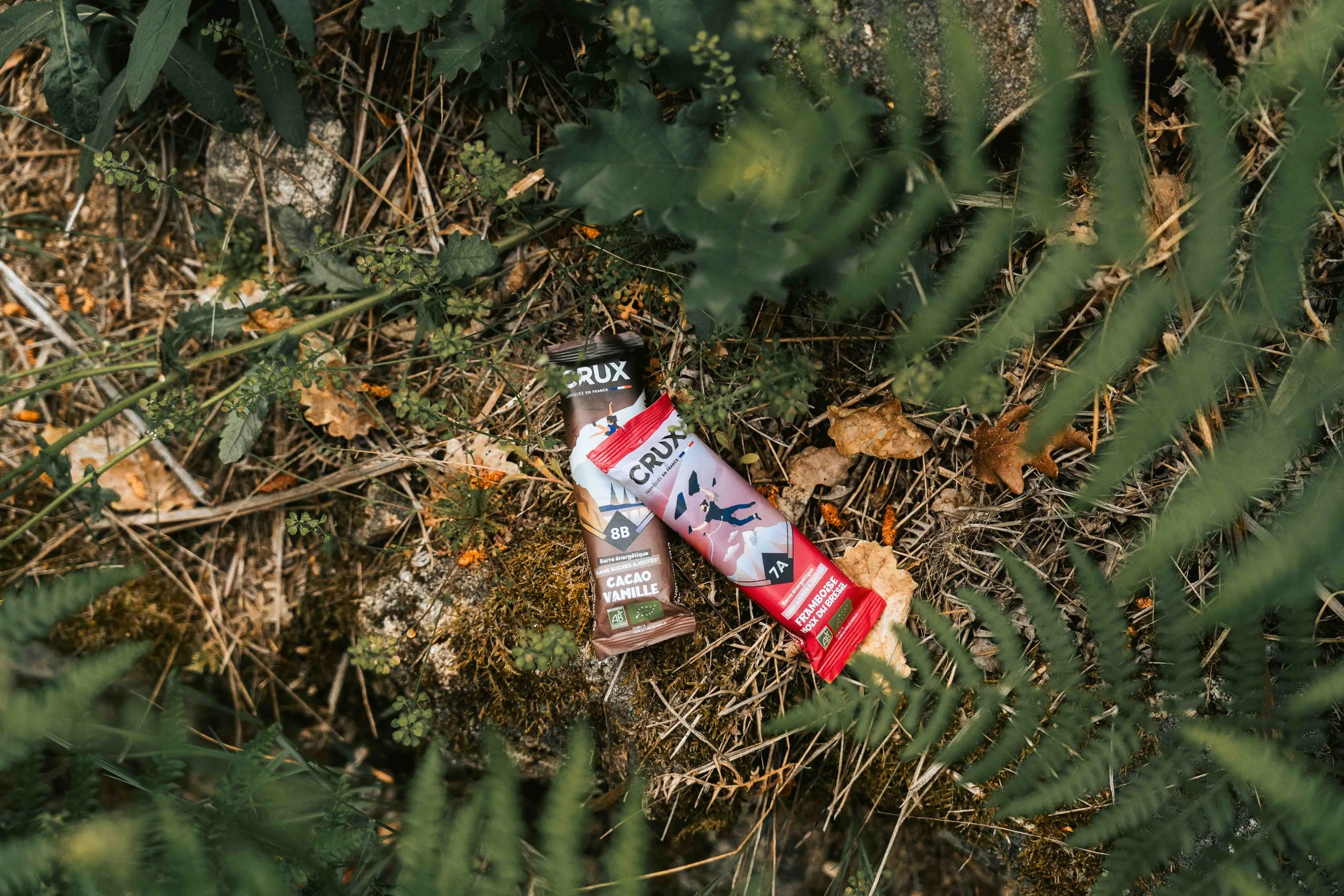 Crux vtt-16.jpg
