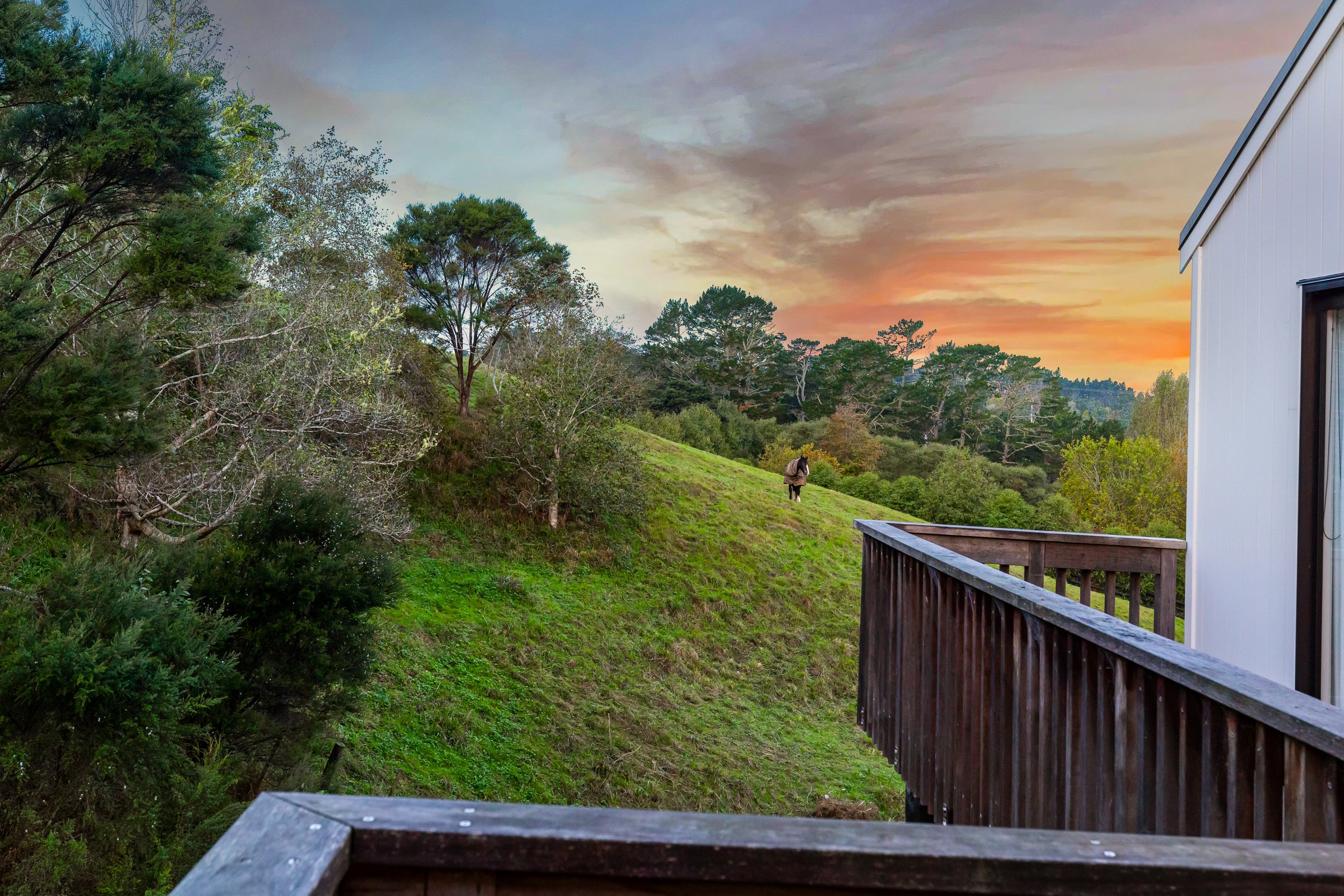 Full Res 8 Collings Drive 30.jpg