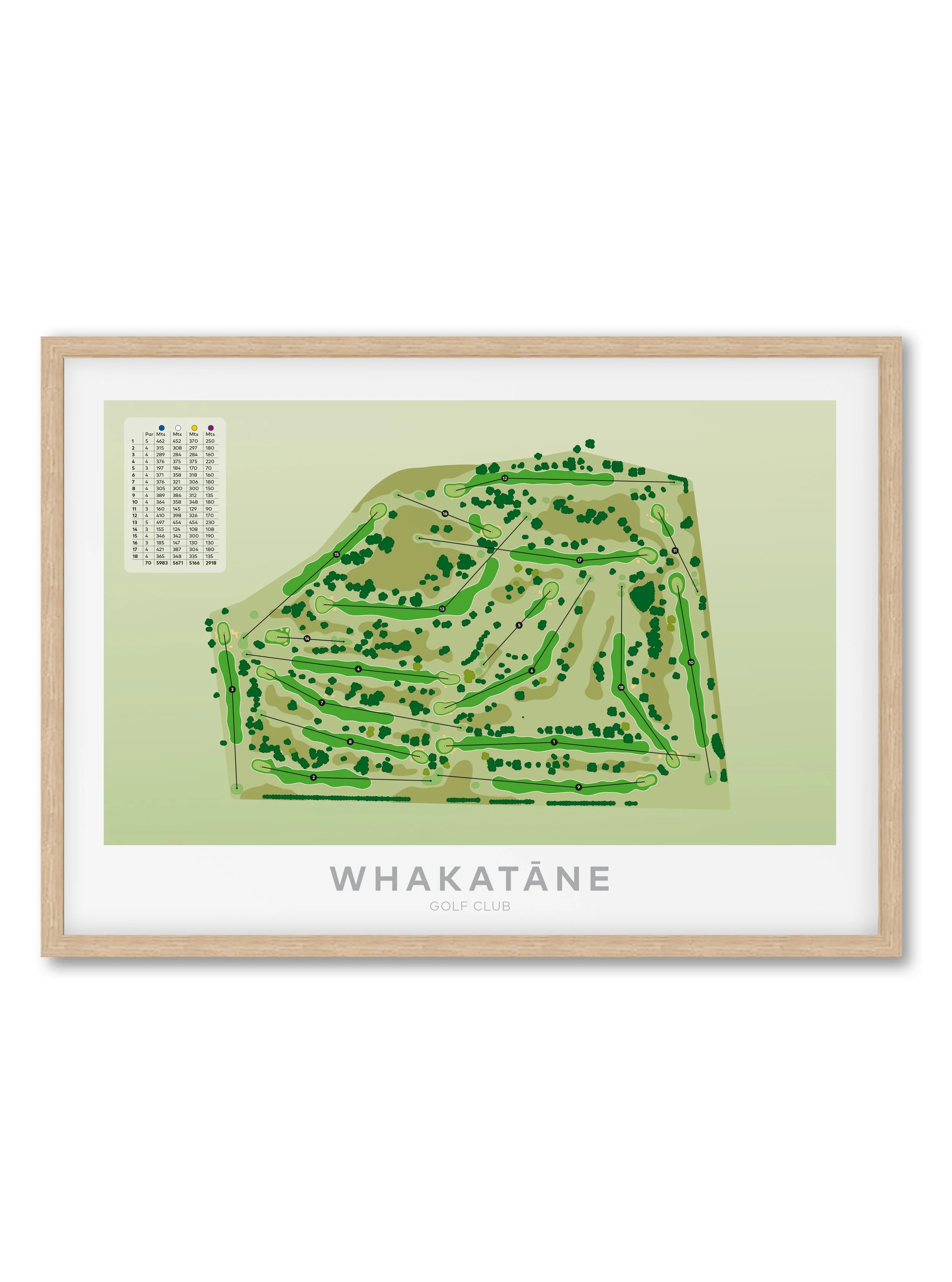 Oak_Whakatane.jpg