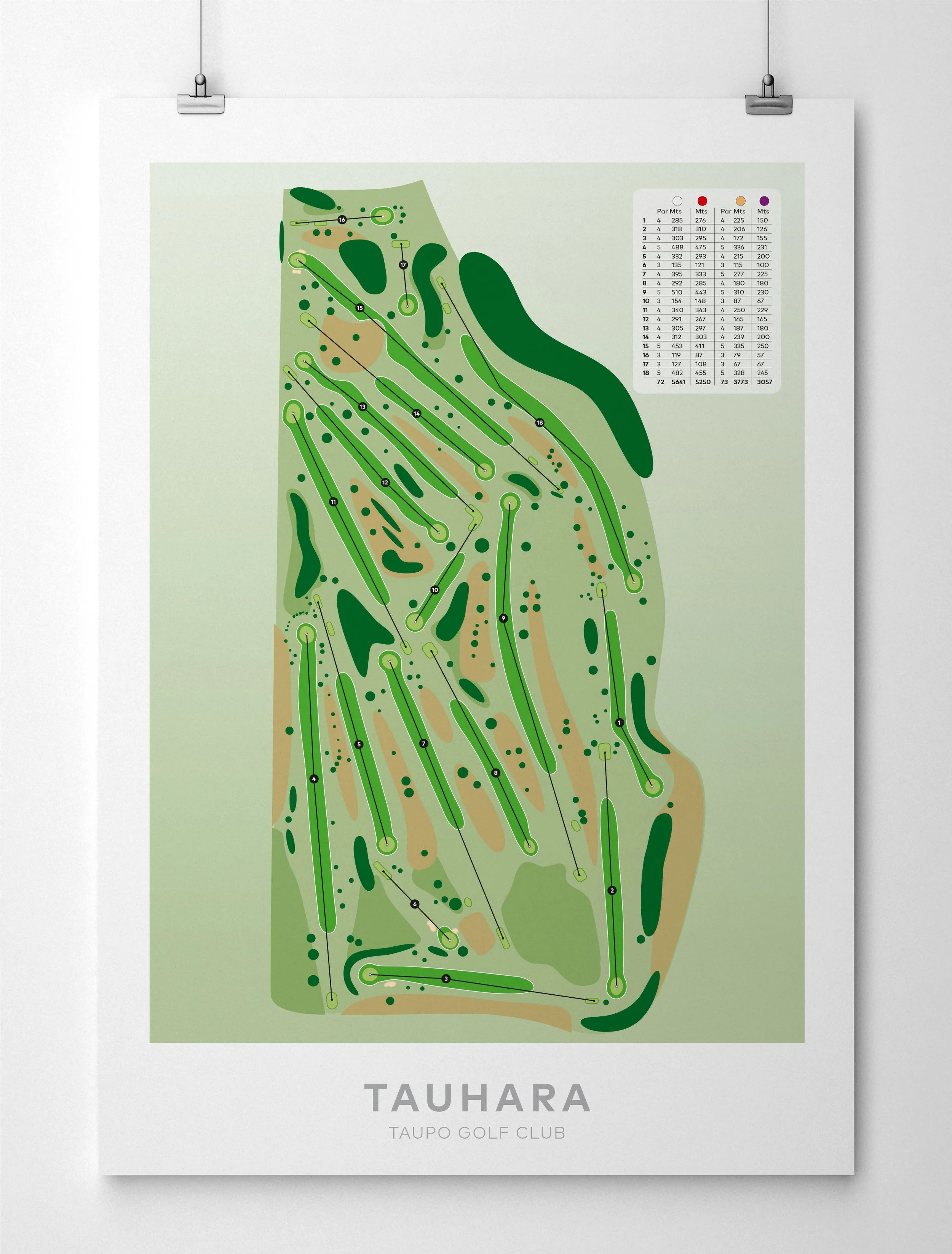 Paper_tauhara.jpg