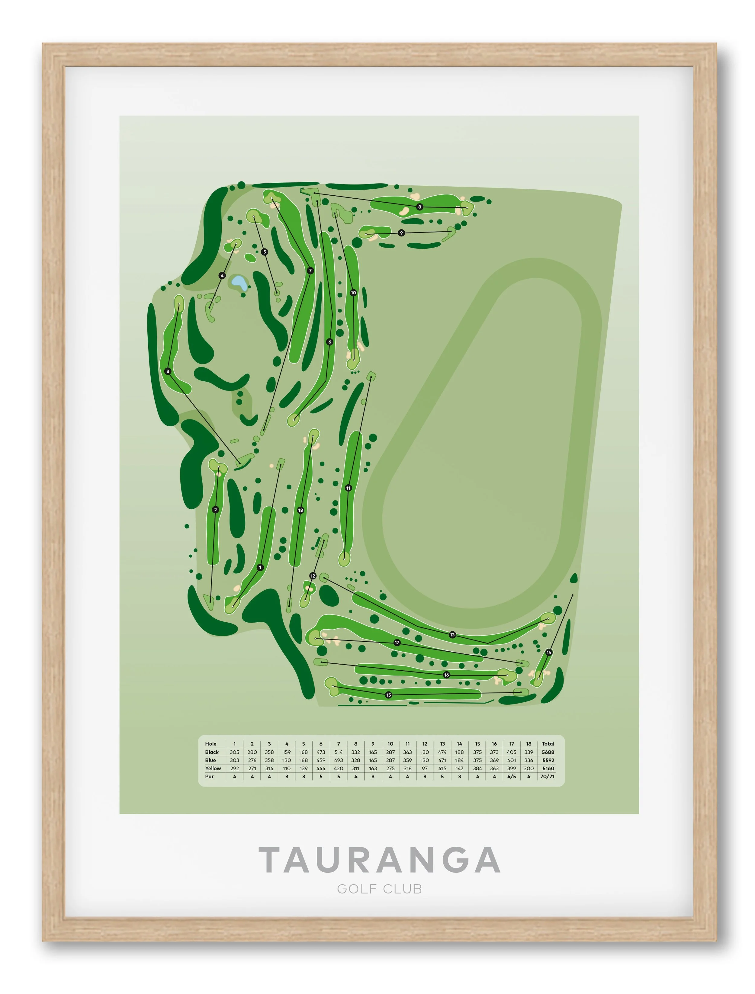 Oak_Tauranga.jpg