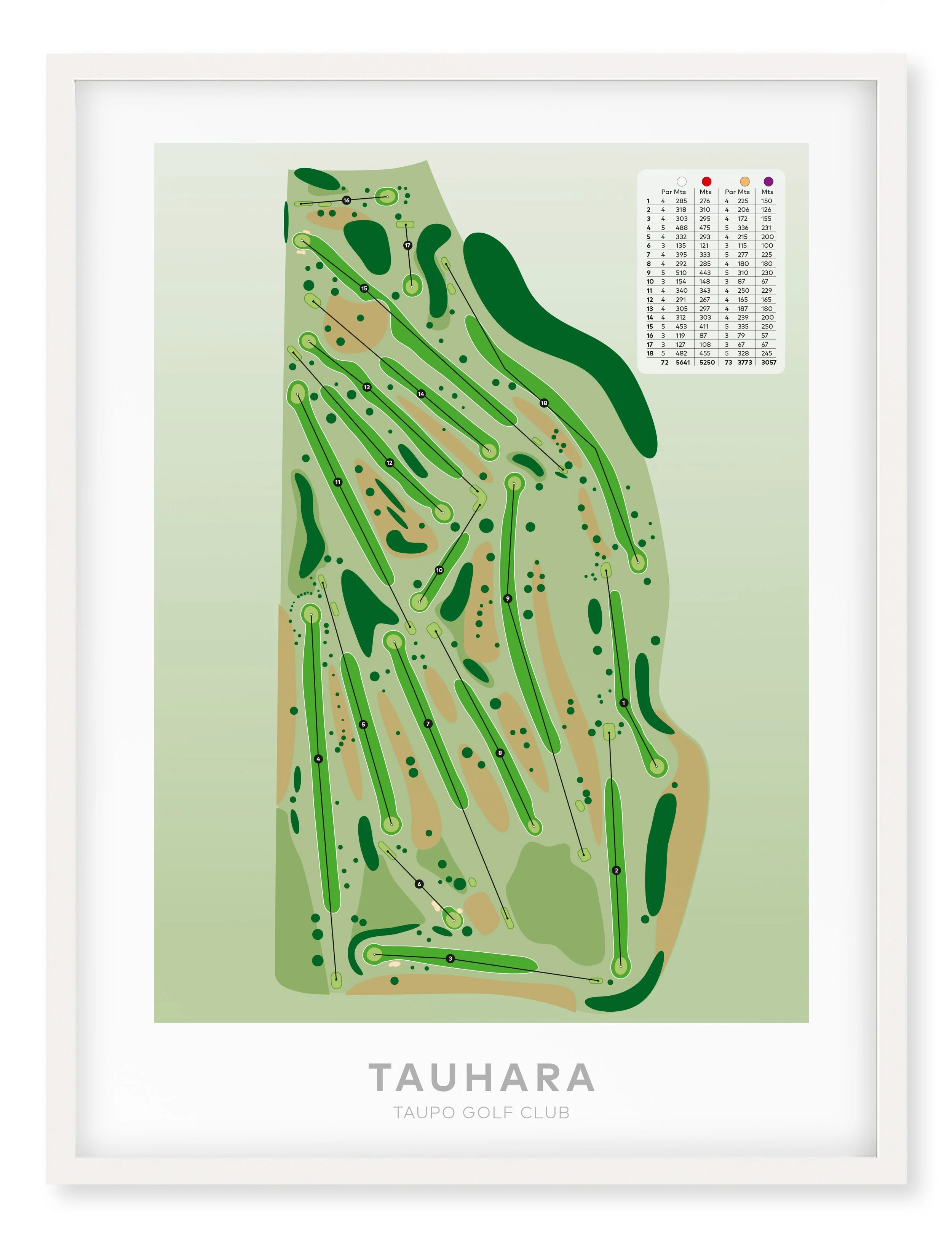White_tauhara.jpg