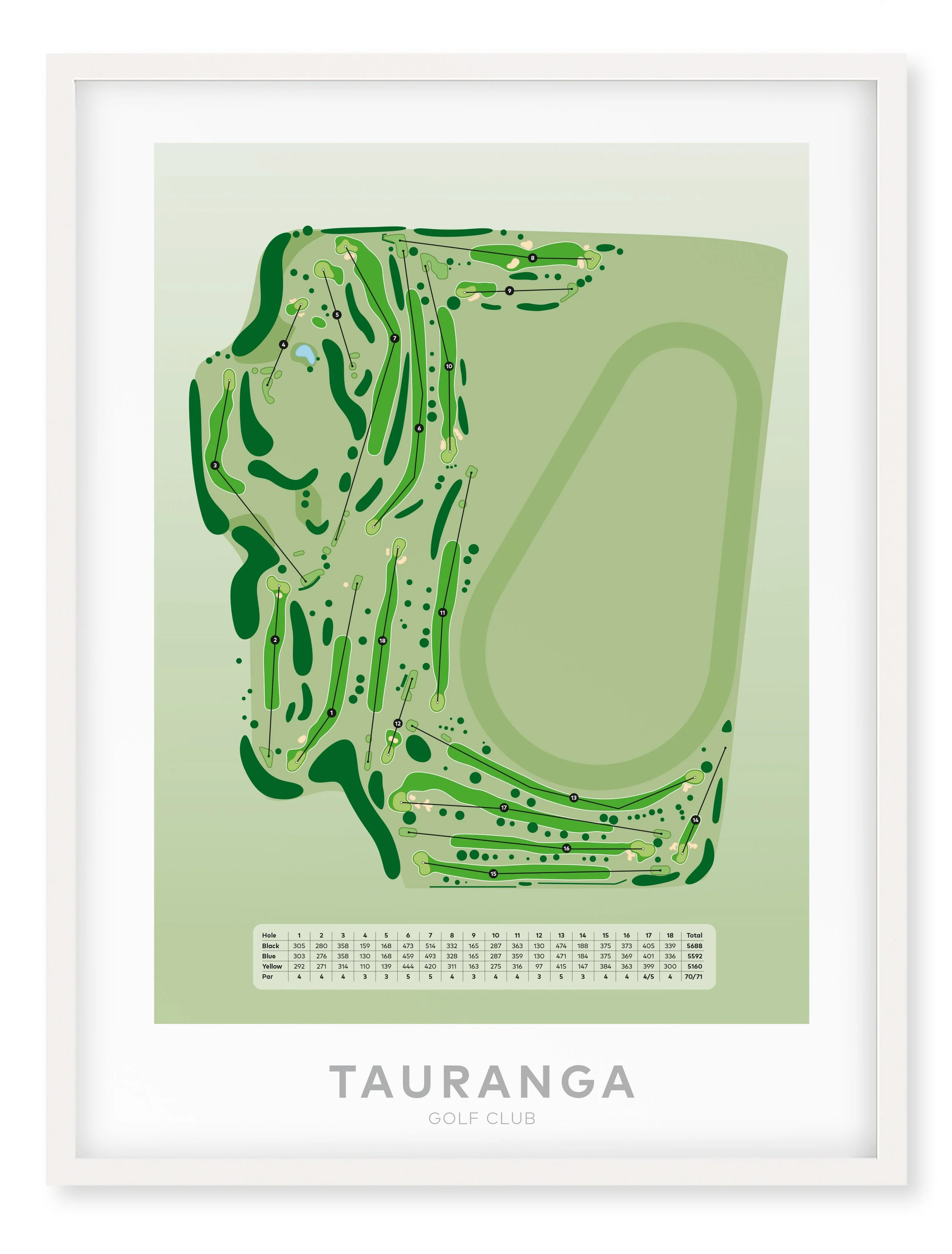 White_Tauranga.jpg