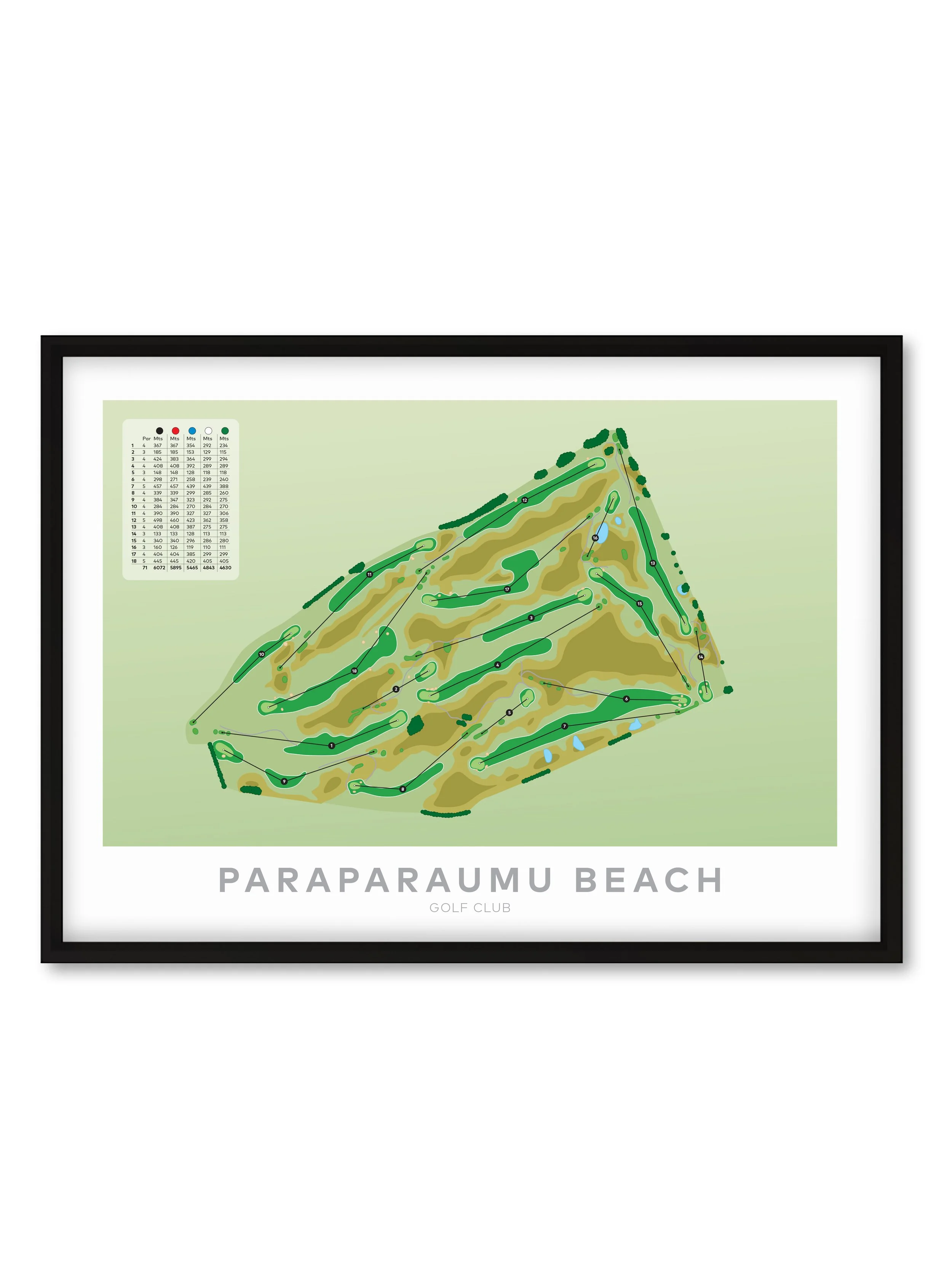 Black_ParaP-2.jpg