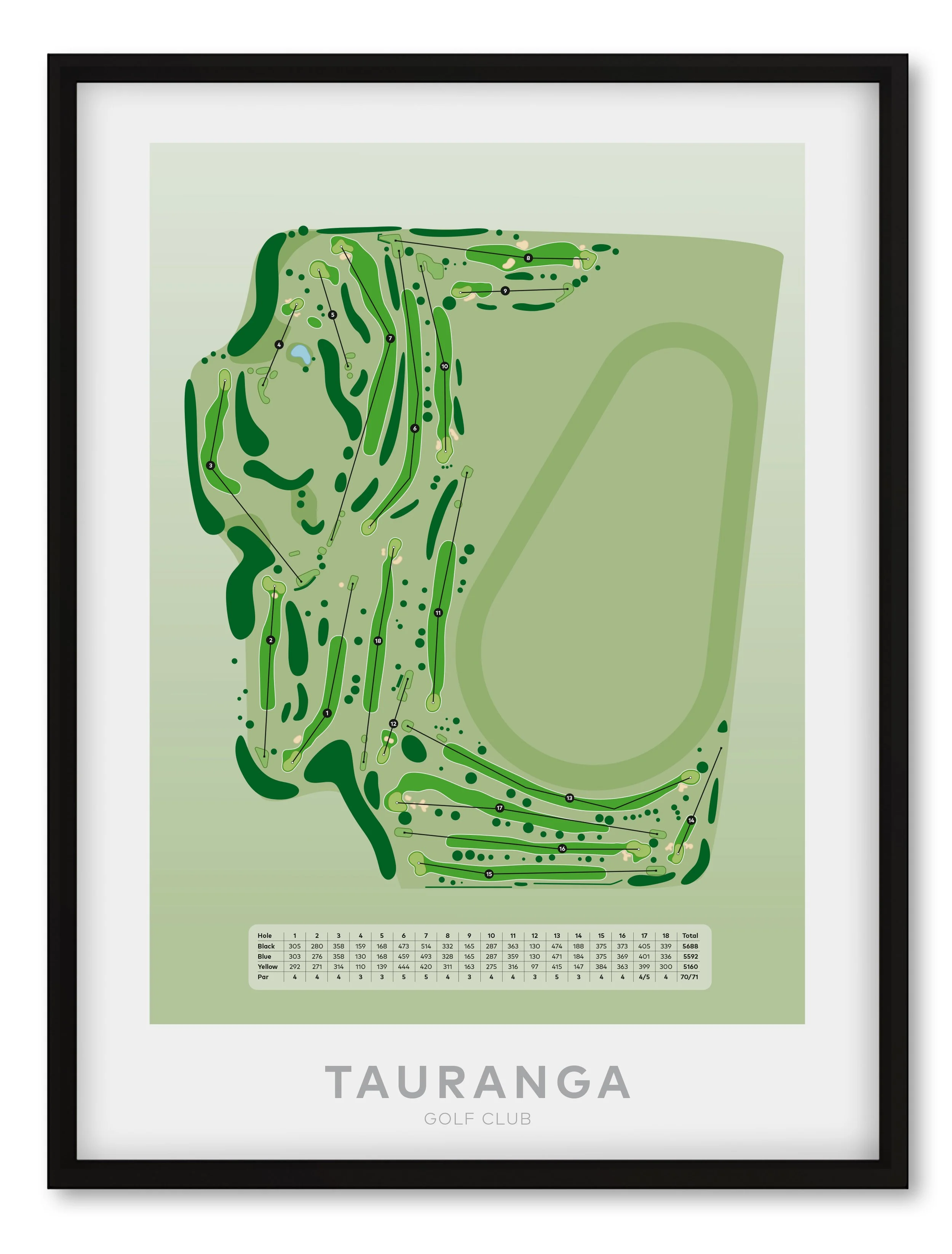 Black_Tauranga.jpg