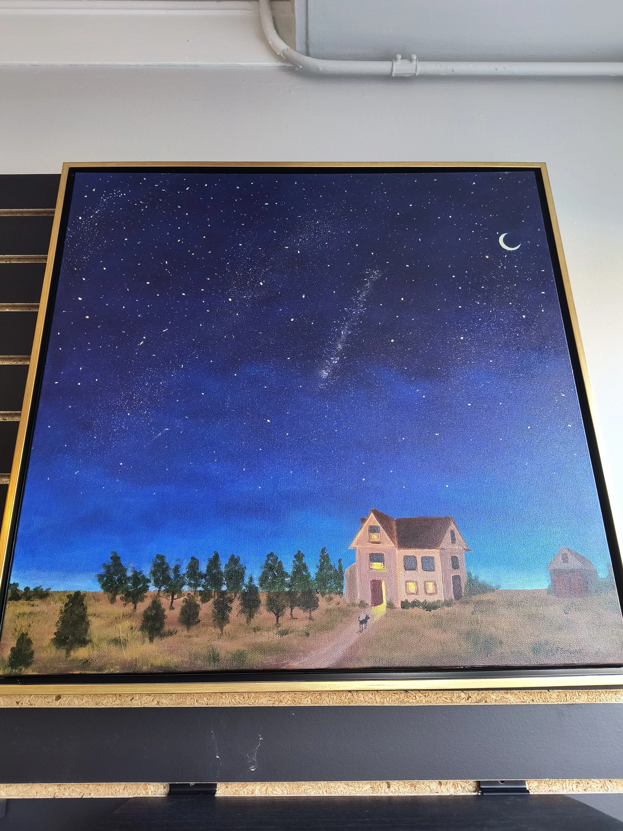 Patricia Browne - Starry Night.jpg