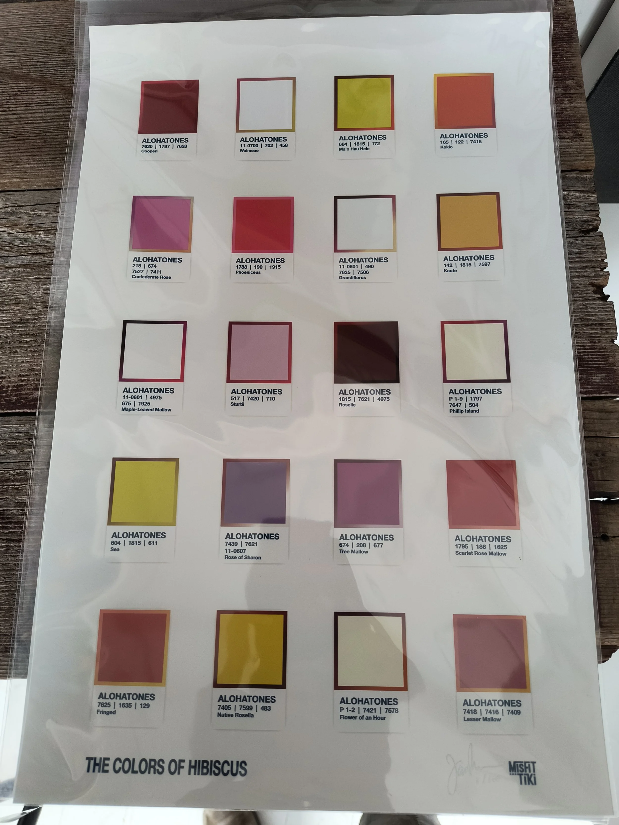 James big hibiscus.jpg