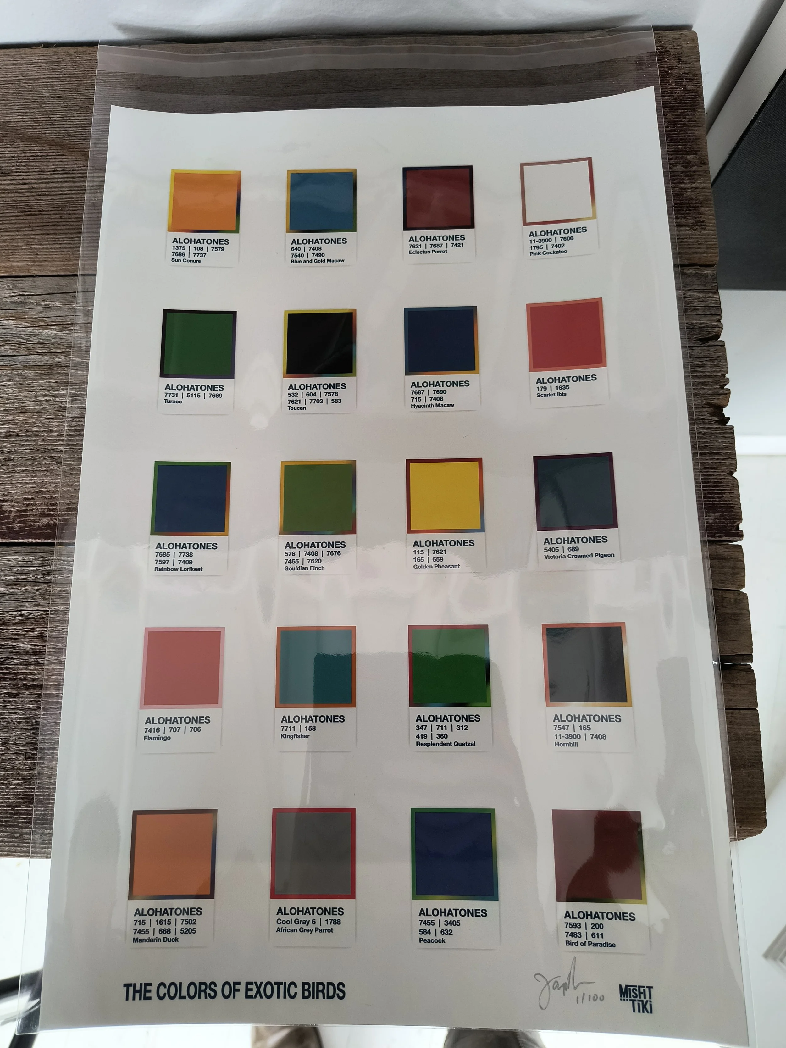 James big exotic birds.jpg