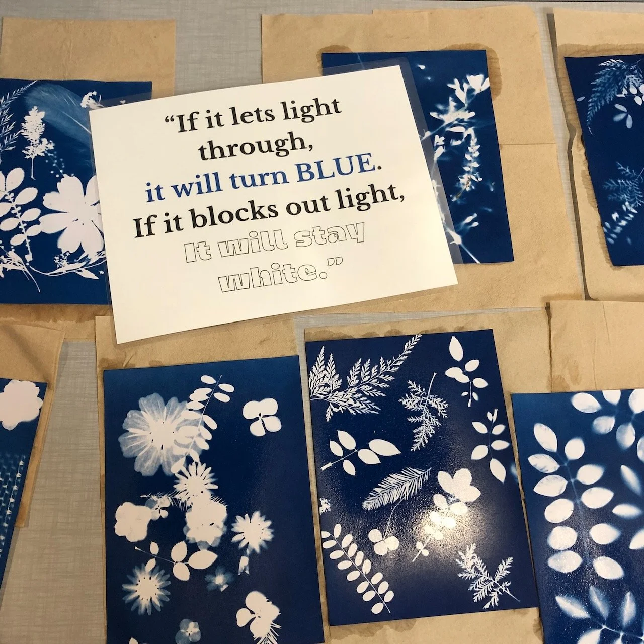 February 18 from 6pm-8pm - Sun Prints: Making Art Prints with Blueprint Paper and the Sun or Artistic Blueprints