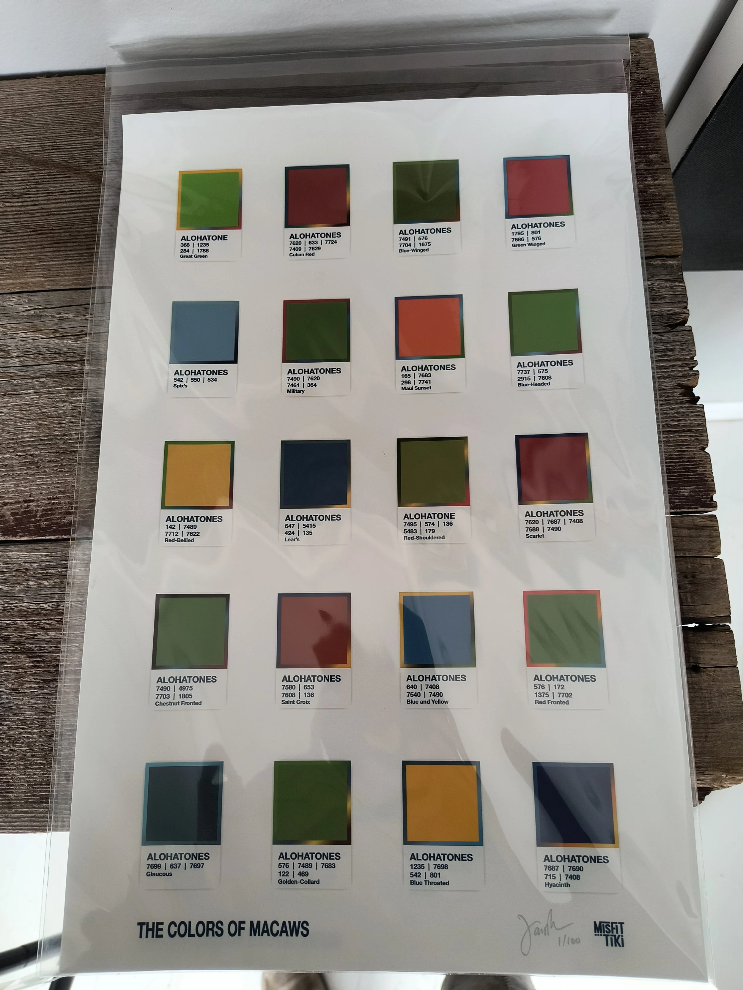 James big Macaws.jpg