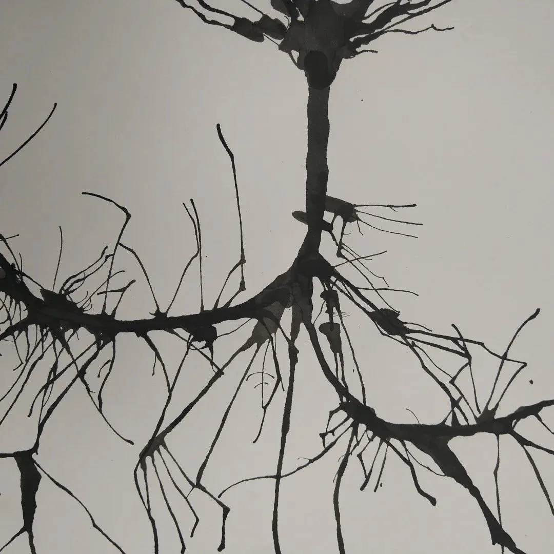 Black ink drawing of tree branches with roots against a white background