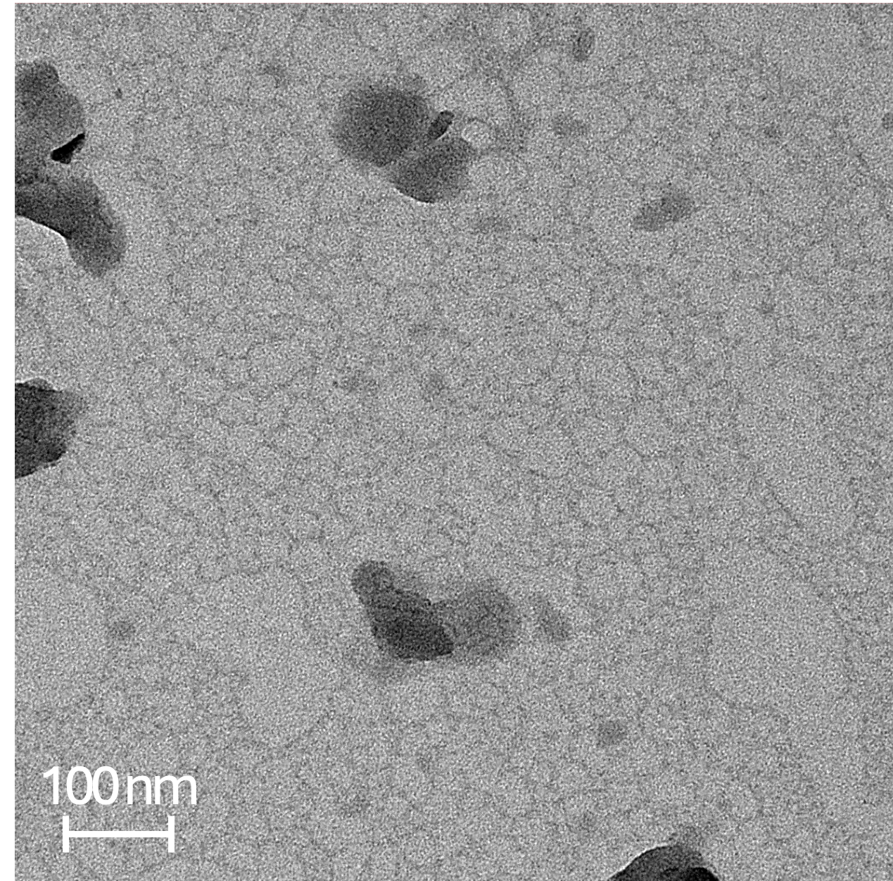 Transmission electron microscope image of virus particles, approximately 100 nanometers in size, scattered on a surface.