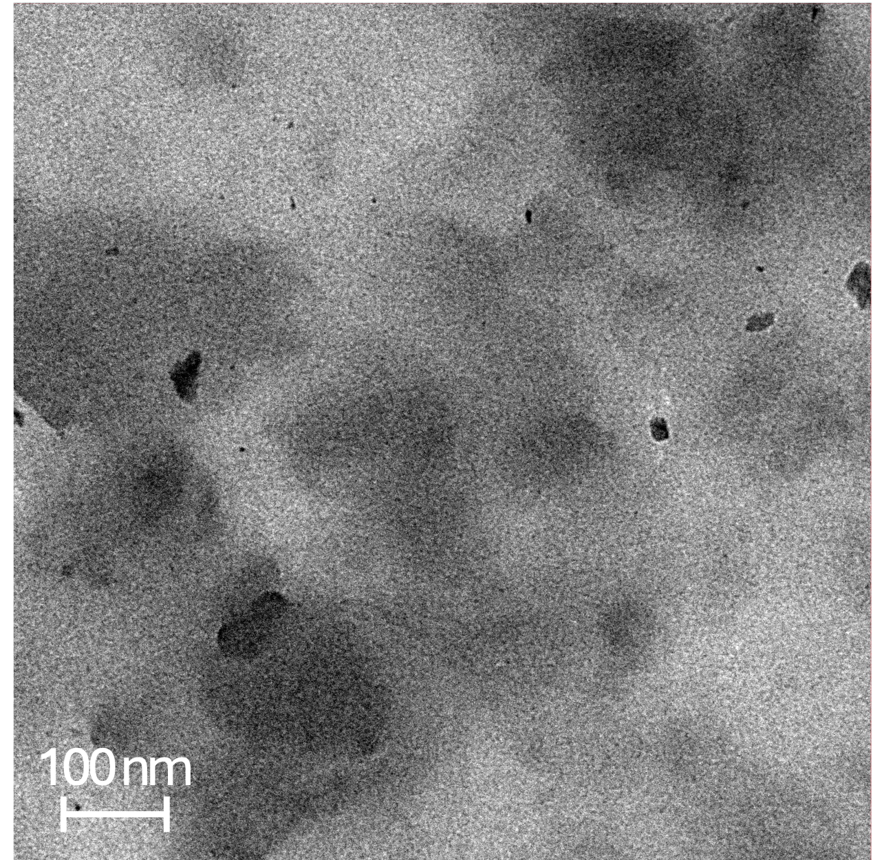 Transmission electron microscope image showing virus particles at the nanometer scale with a scale bar indicating 100 nanometers.