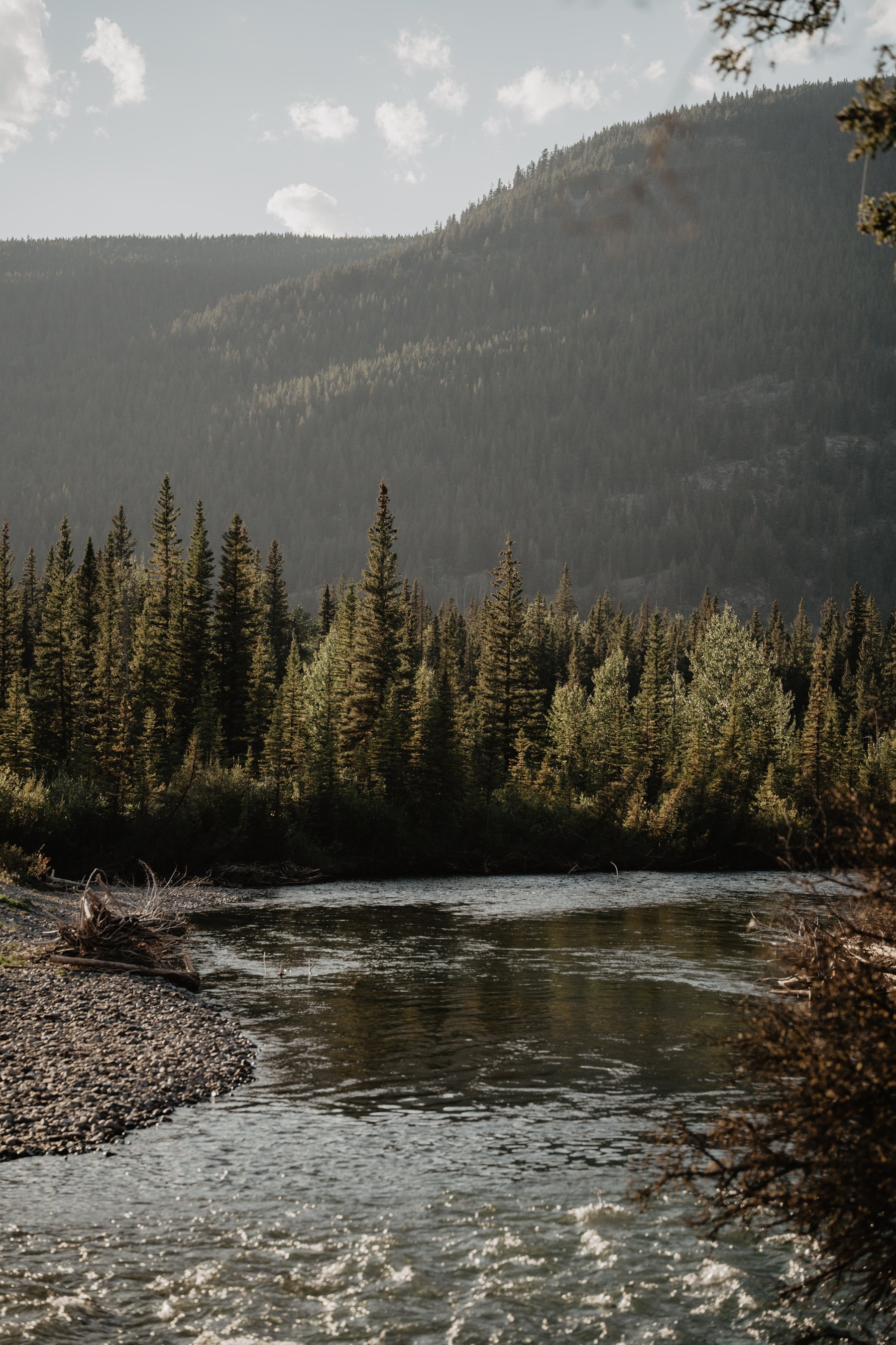 A river flowing through a forested area with pine trees and mountains in the background under a partly cloudy sky.