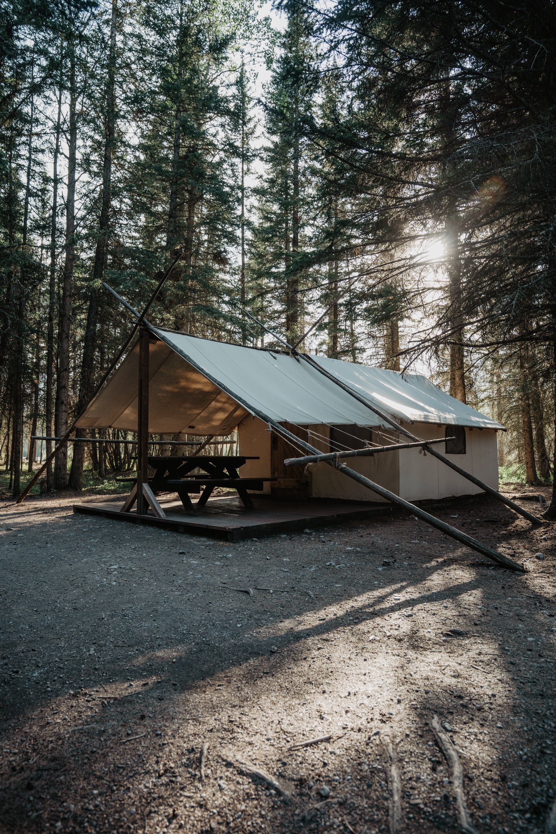 A rustic canvas tent with a metal roof set up in a forest, with a picnic table underneath, sunlight filtering through tall trees.