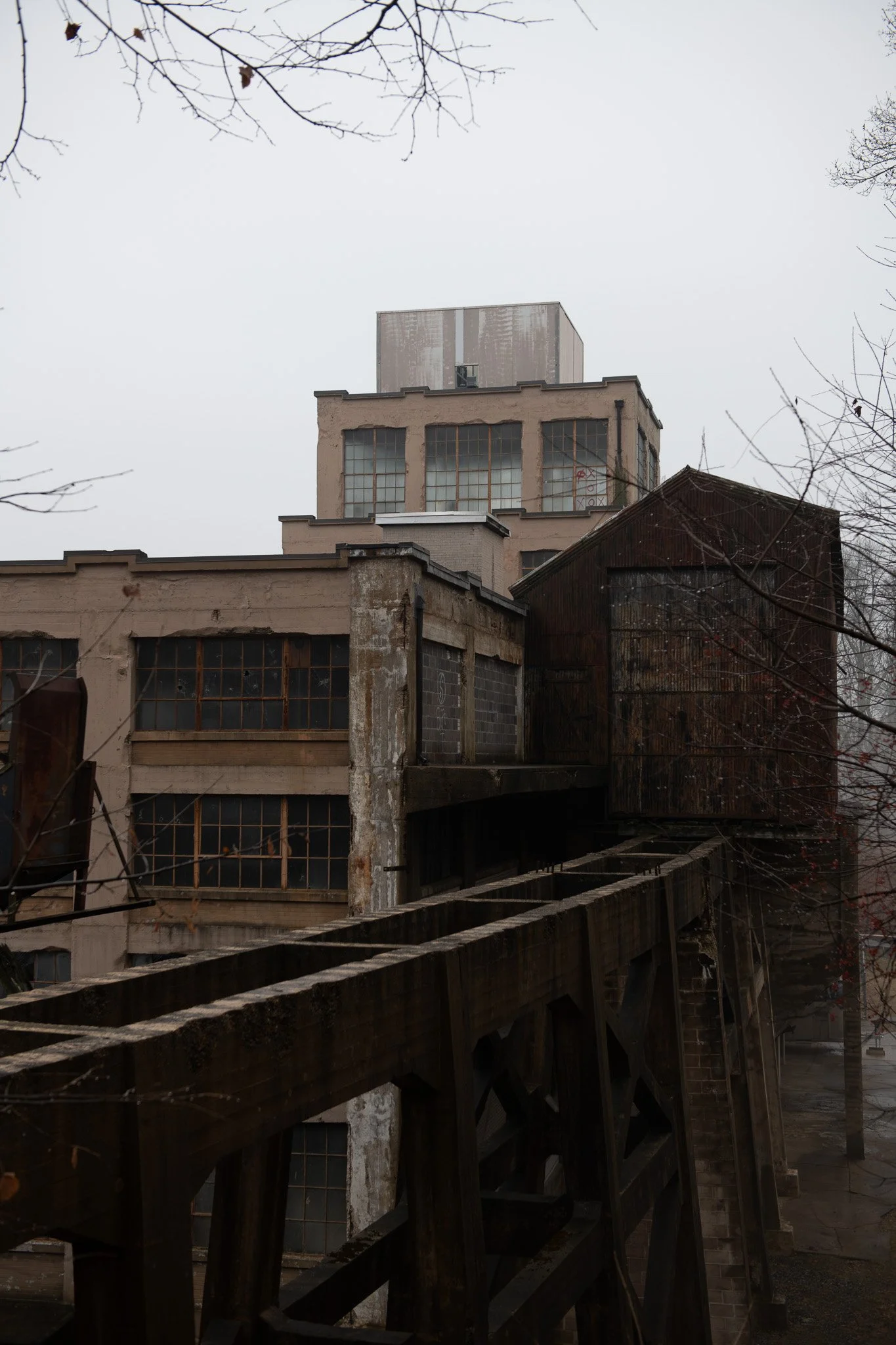 DSC_2670.jpg