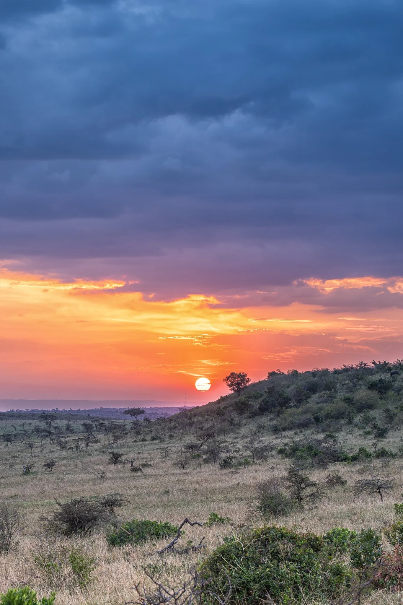 amboseli_greater_sunset.jpg