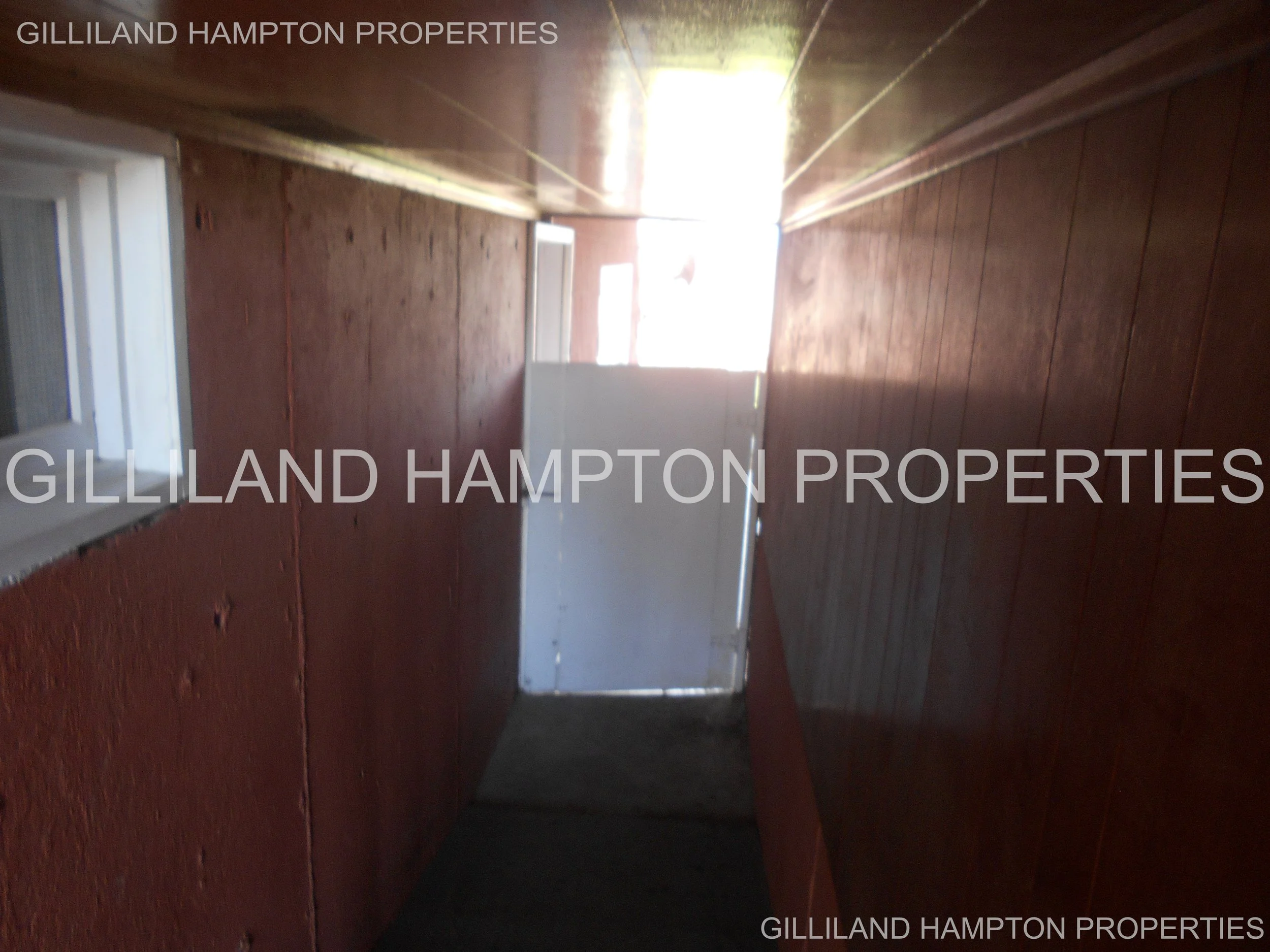 516 53.jpg