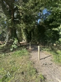 A pathway with a wooden post fence on the right, surrounded by trees and greenery, under a blue sky.