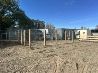 An outdoor construction site with wooden posts installed in a row on dirt ground, fence panels and structures in the background, and a clear blue sky.