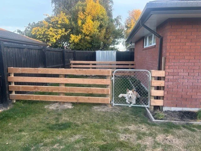 A backyard with a newly built wooden fence and a small gate, with a dog inside the fenced area near a brick house, trees with fall foliage in the background.