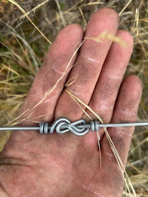 A hand holding a metal wire with a knot tied in the middle, outdoors among tall grass.
