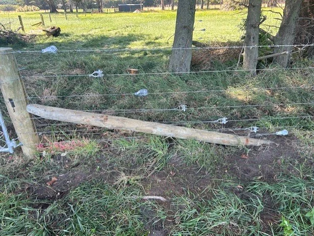 A damaged wooden fence post lying on the ground among grass and weeds, with barbed wire attached to other fence posts in a grassy outdoor area.