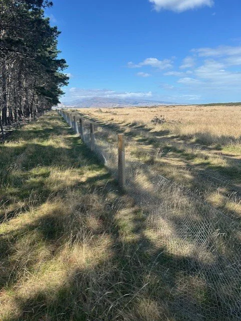 Open field with a fence running alongside a line of trees on the left and a partly cloudy sky above.