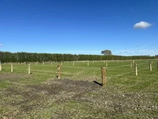 Open grassy field with wooden posts in the foreground and trees in the distance under a blue sky with a few clouds.