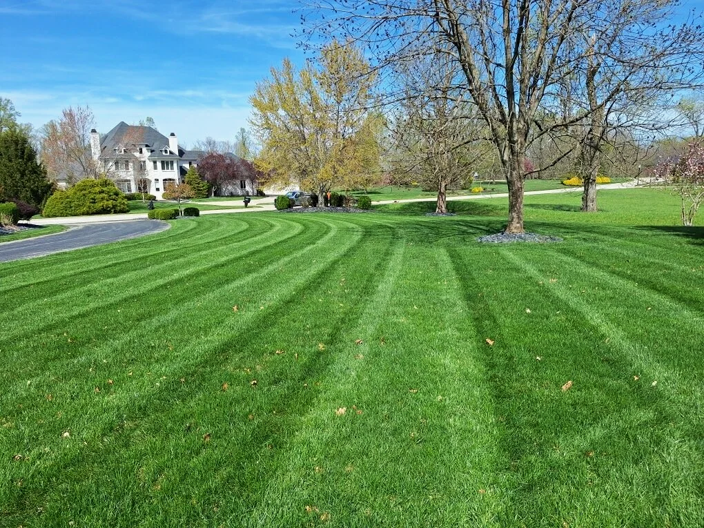 A well-manicured yard with freshly mowed grass showing striped patterns. There are leafless trees, a large house in the background, and a clear blue sky.