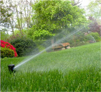 A lawn sprinkler watering green grass in a garden with trees and bushes.
