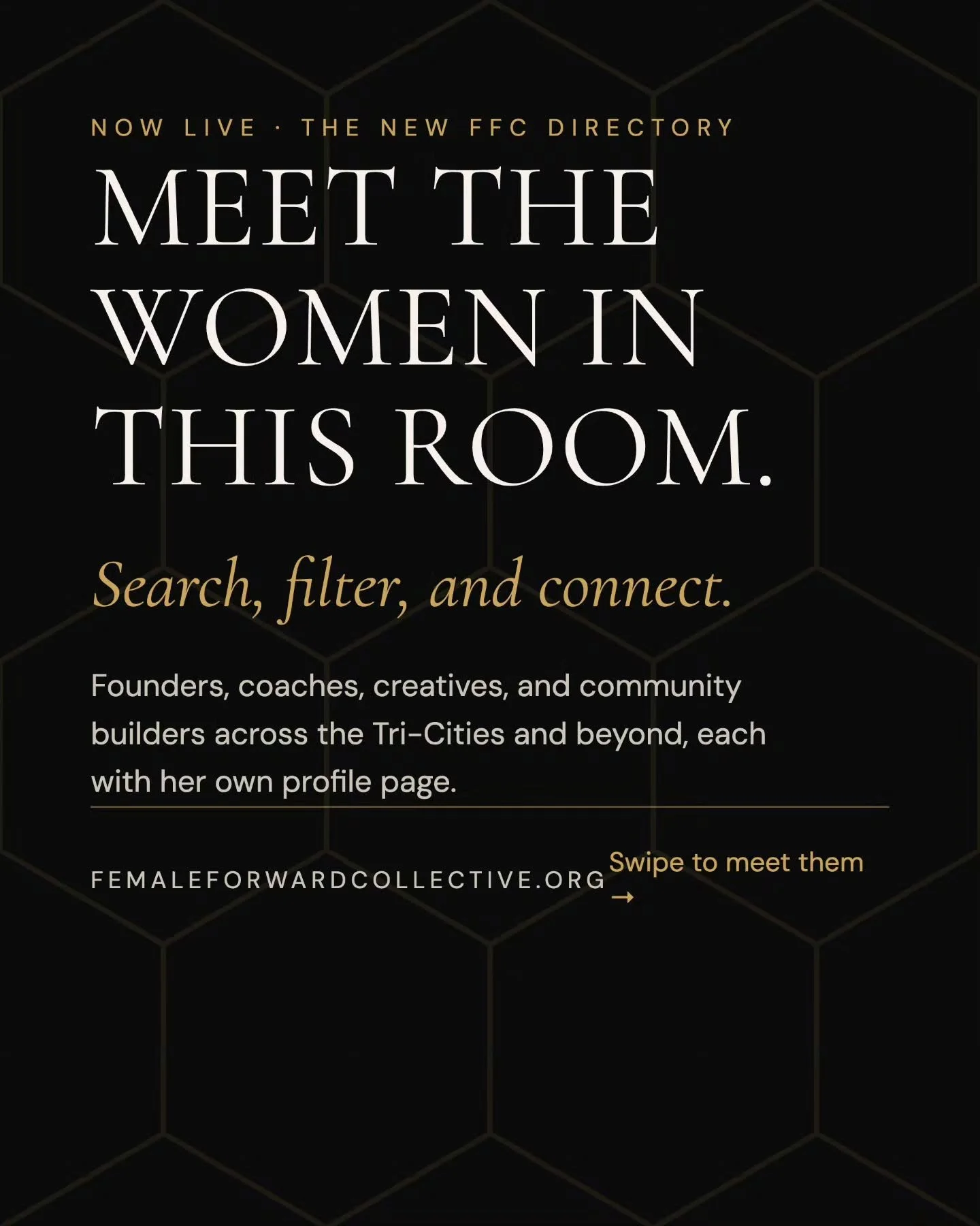 A new chapter for @femaleforwardcollective_

Since August 2024, you have shown up. For breakfast, for each other, for VIP Days and for this community.

Thank you for over two years of support. It has built something we are so proud of.

Today we are 