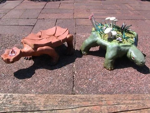 Two figures based on different environments, both turtle-like,  one a desert creature made to blend into its environment and the other thick, green, and covered in flora on its back.