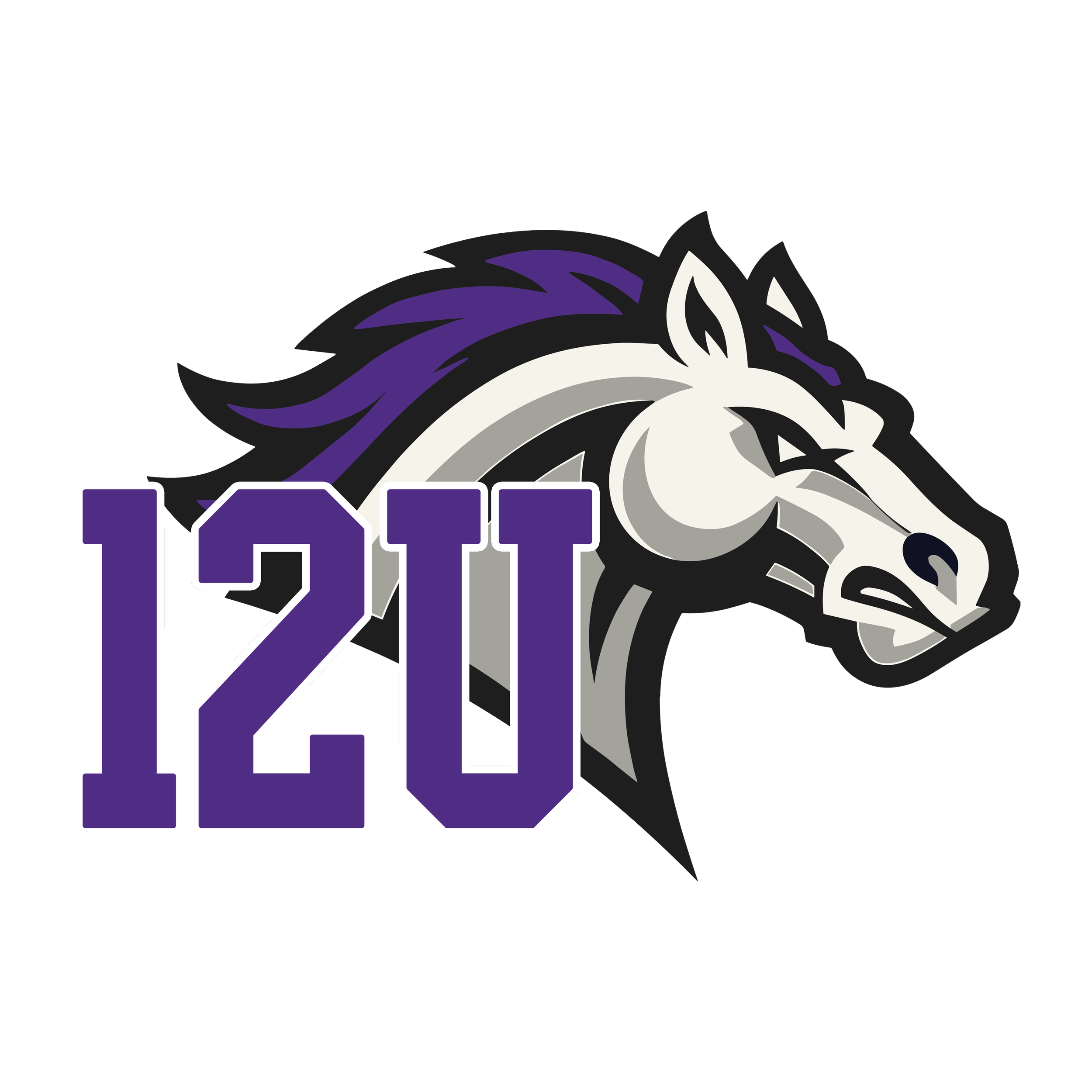 12u Fall Registration