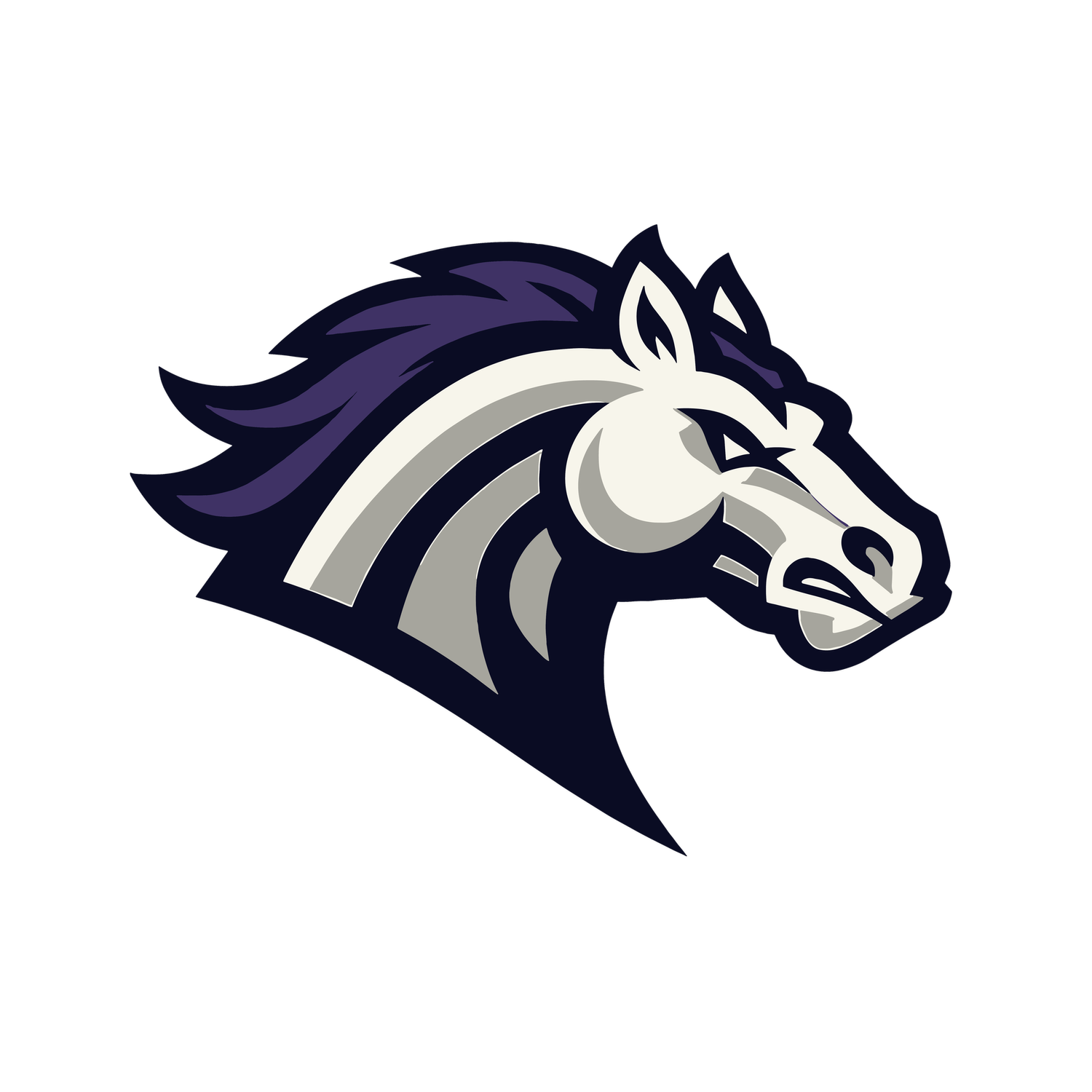 Bell City Broncos Football