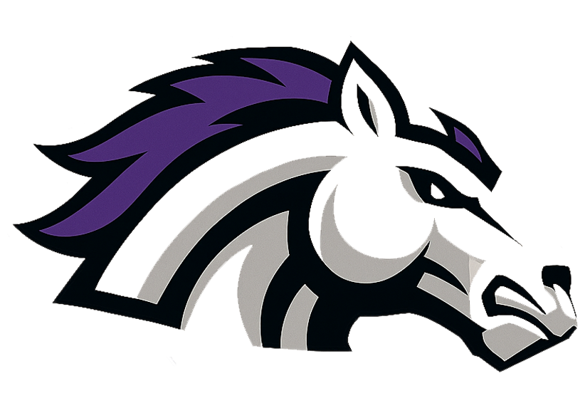 Bell City Broncos Football