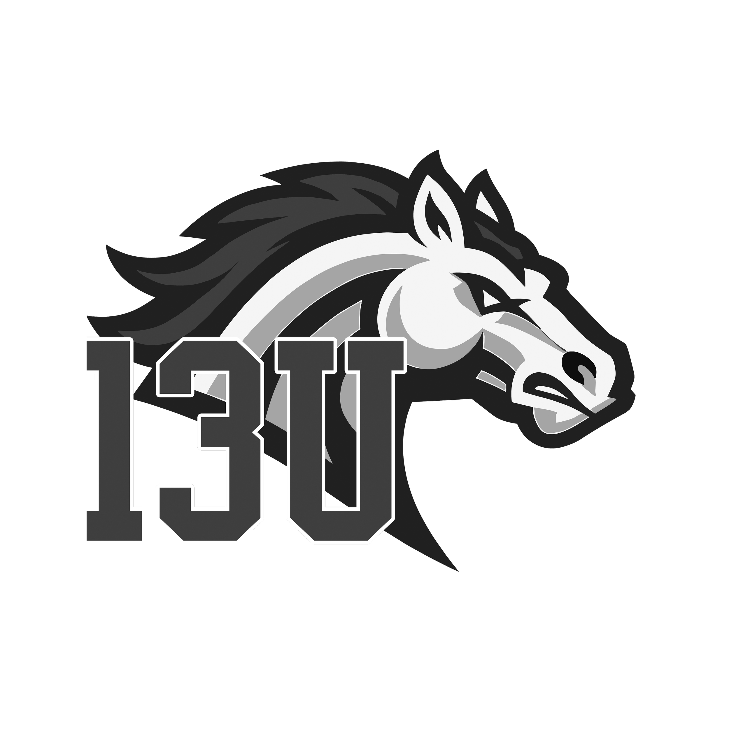 13u - Gray Scale.png