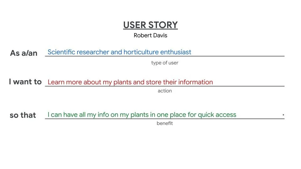 User Story Robert Davis