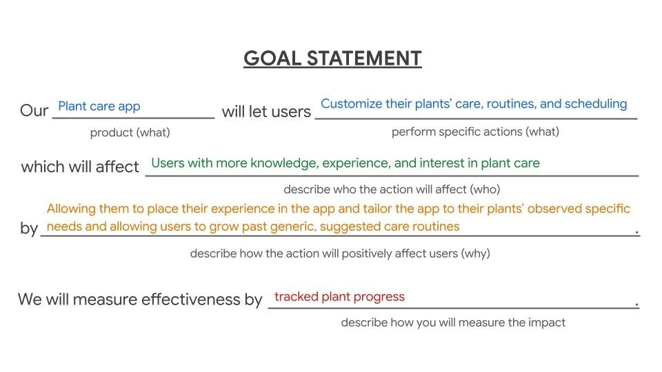 Goal Statement Camille Novak