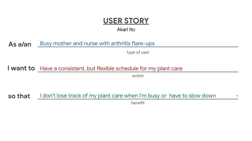 Akari Castillo User Story