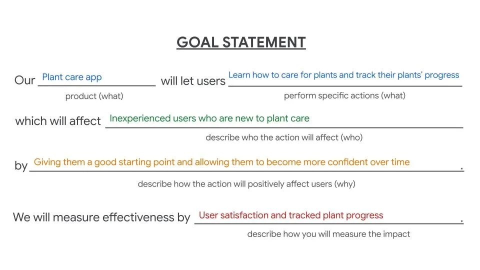 Goal Statement Zareen De Vries