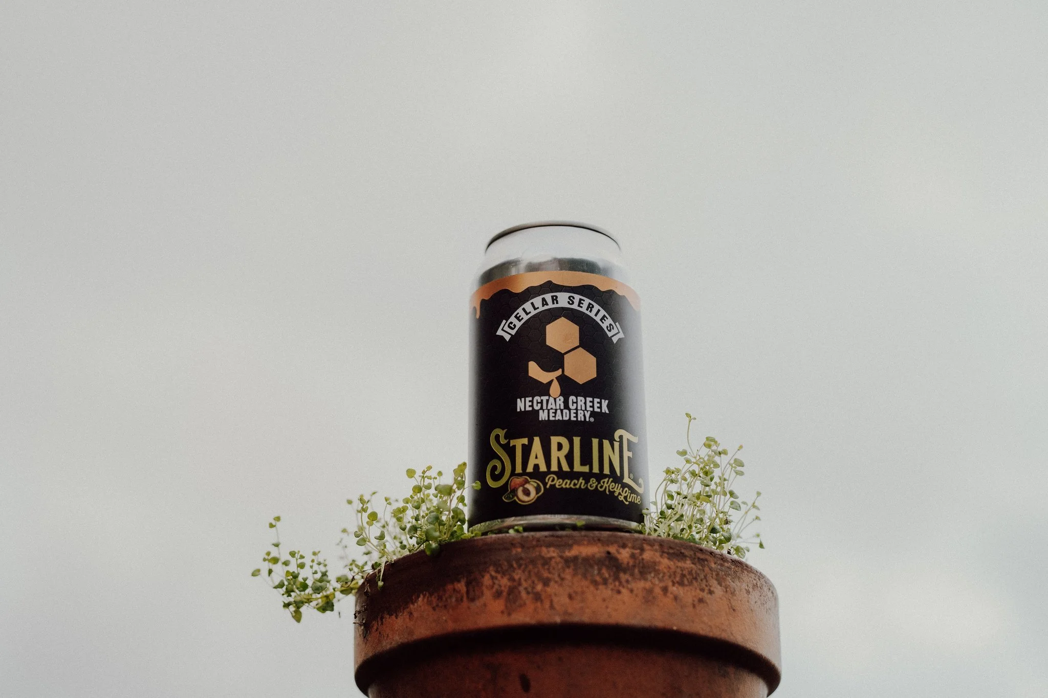 Starline_photo.jpeg