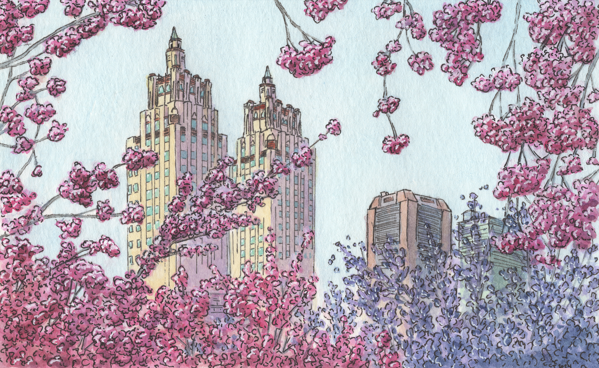 Central Park Spring (Print, 5"x7", with 8"x10" matte)