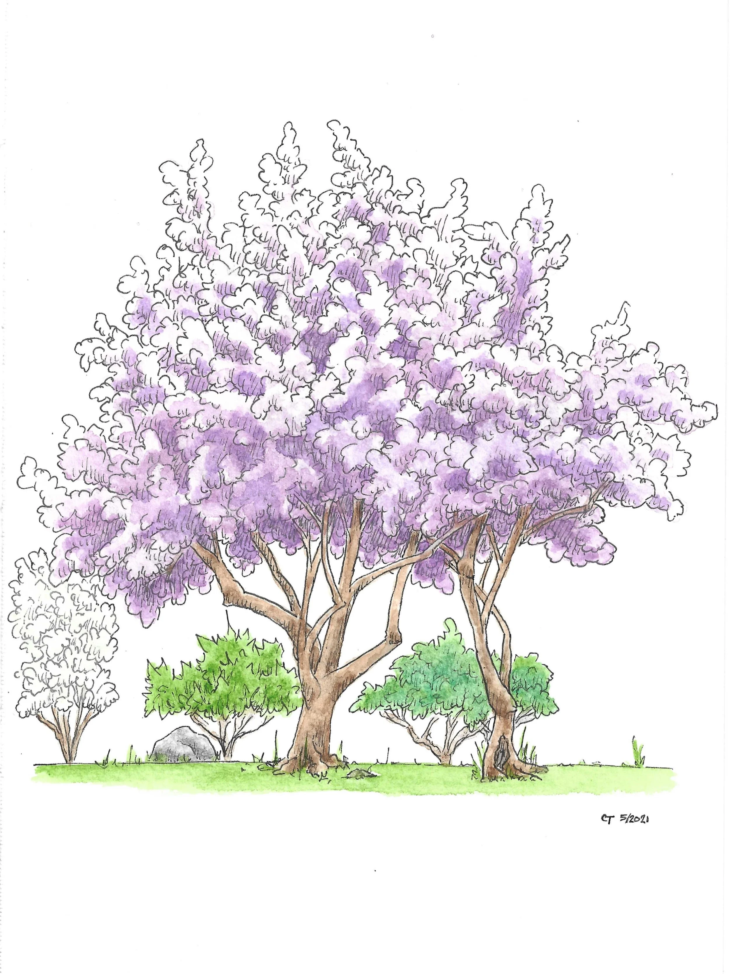 StreamCtSpring_cropped_4x5.jpg