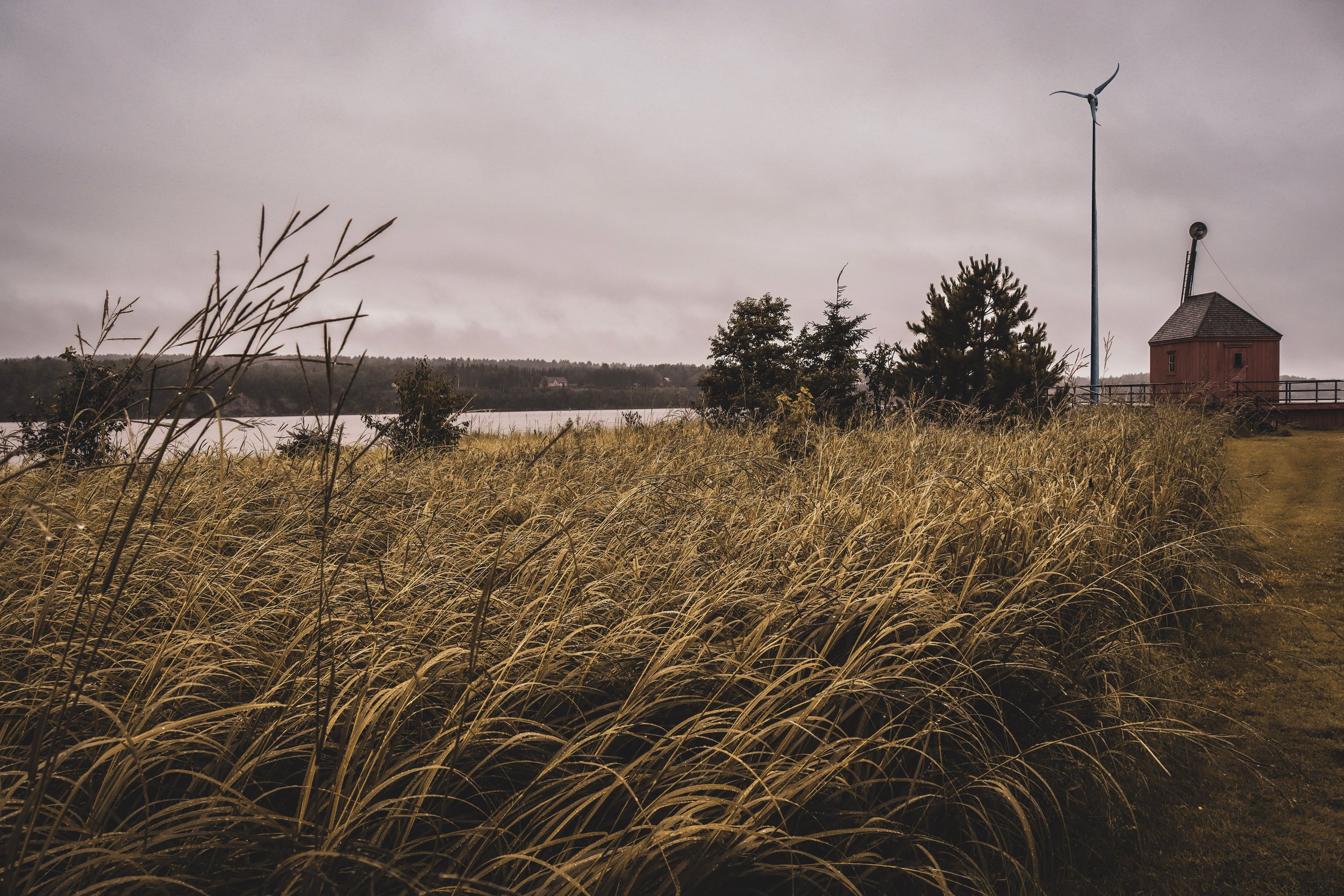 The Case for Wind on Rural Properties: Wind vs. Solar for Nighttime and Winter Energy