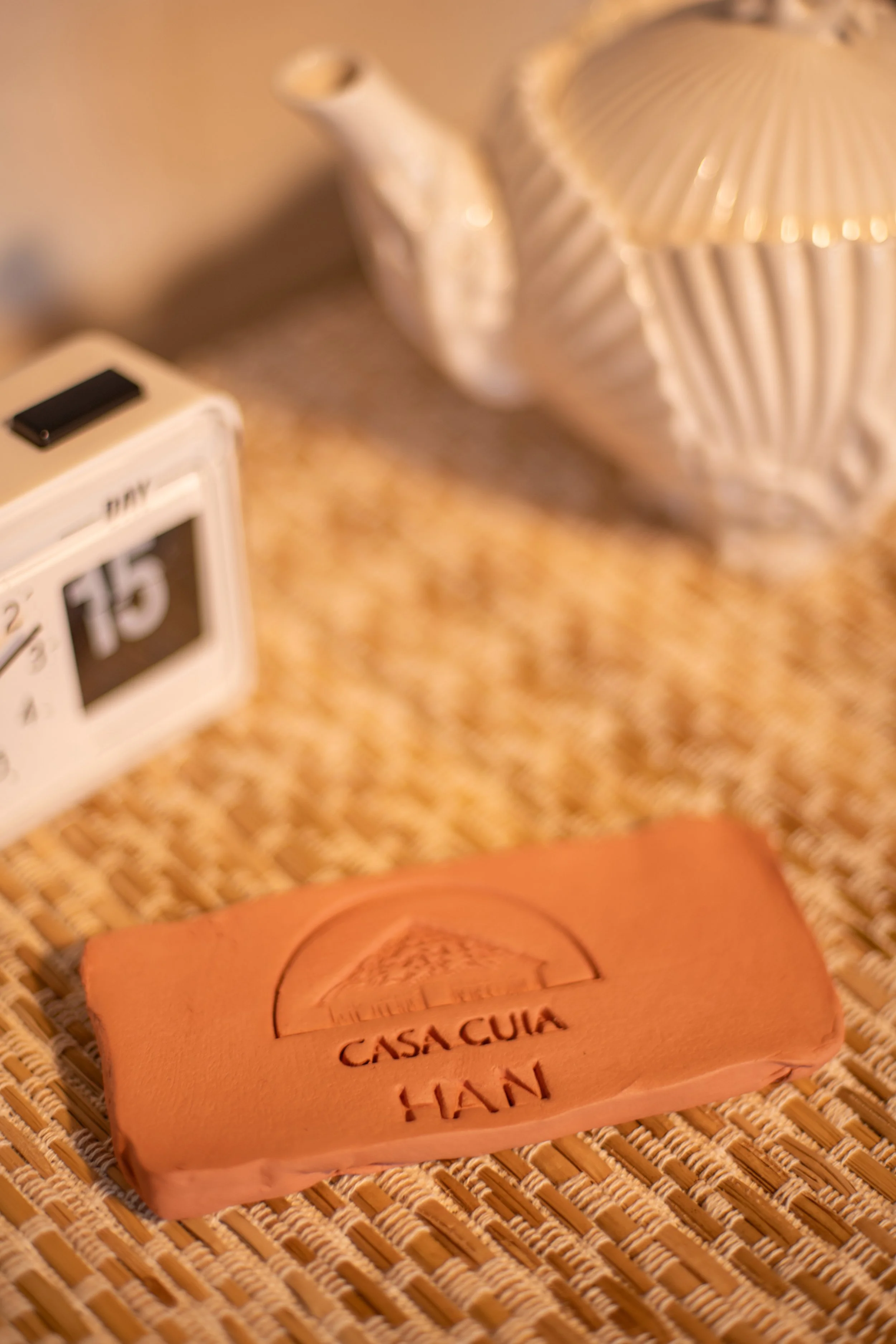 TRAT_INST_CASACUIA_HAN-14.jpg