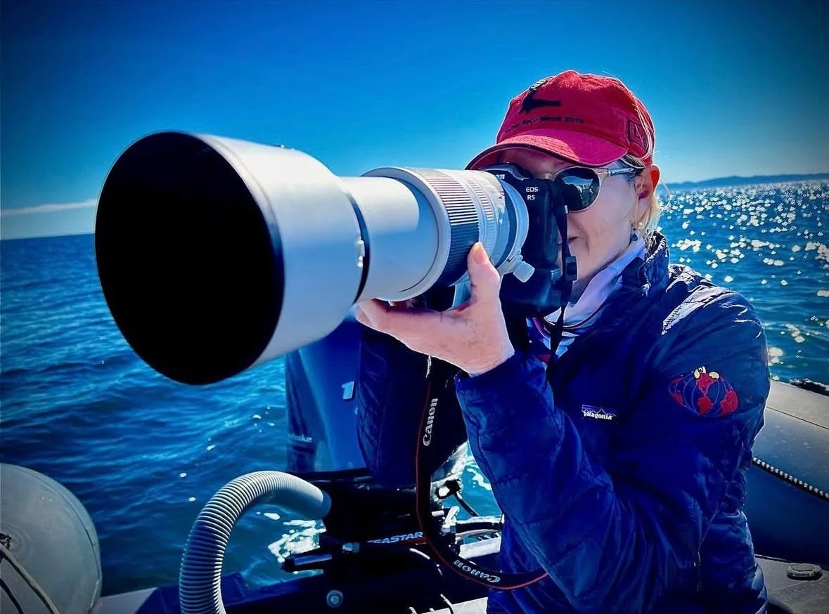 Looking into April 📸. Alright spring I&rsquo;m ready for you! 🌼 🌊 ⛵️ 

What are your spring plans?