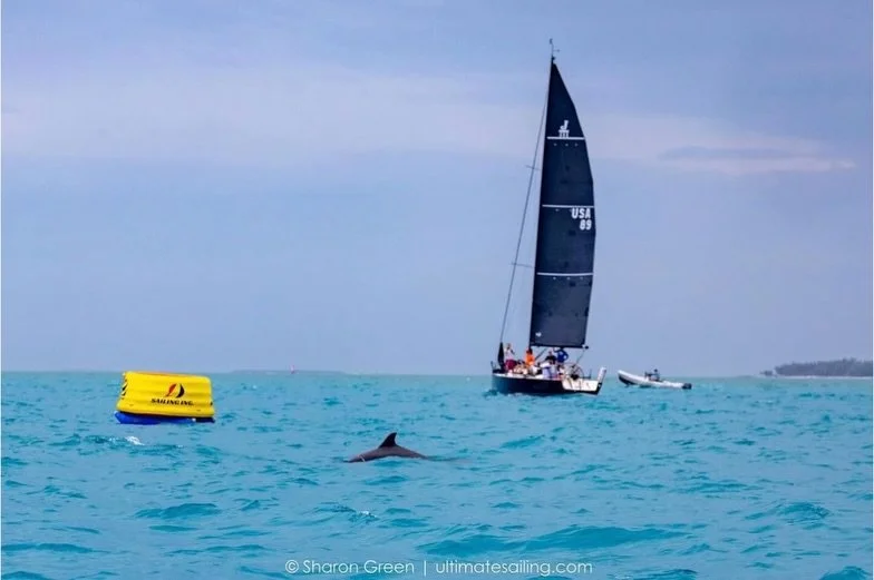 Leave it to Key West to deliver a day full of sun, wind and dolphins! What a fun day at the Southernmost Regatta. ☀️ 🌊 🐬